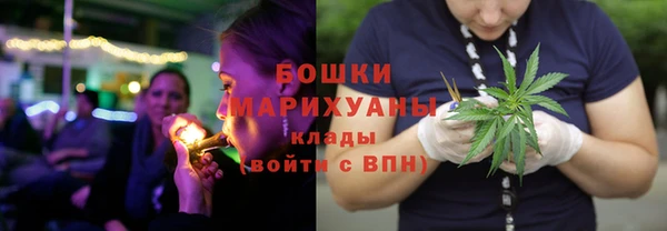 сатива Балабаново