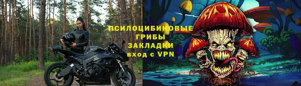 сатива Балабаново