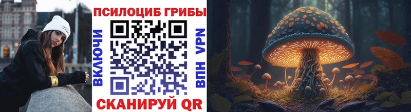 Галлюциногенные грибы Cubensis  Купить где  Белёв 